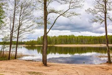 Фото номера Апартаменты с 2 спальнями Апартаменты Stainiškių slėnio pirtis г. Aviliai 10